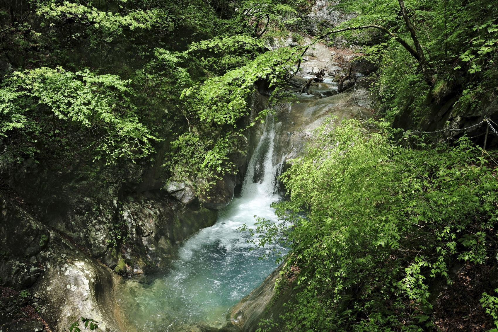 Hiker's death puts spotlight on pets on Japan's mountain trails