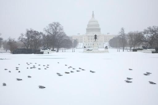 U.S. government shuts down but quick resolution expected
