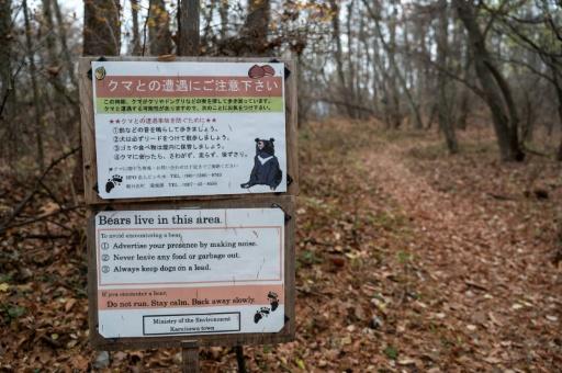 One dead, one missing in northern Japan after bear attack