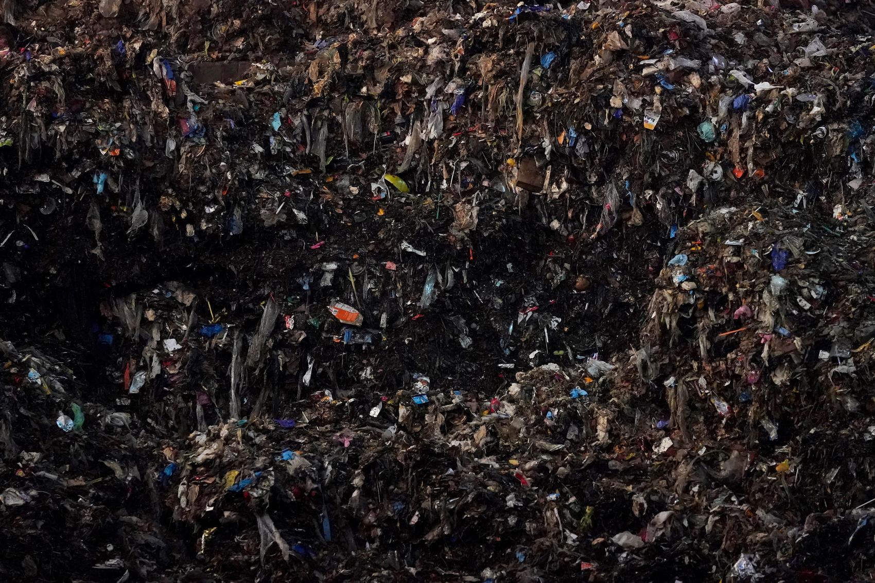 The food you toss costs you plenty and emits tons of pollution. We've got tips on how to cut down