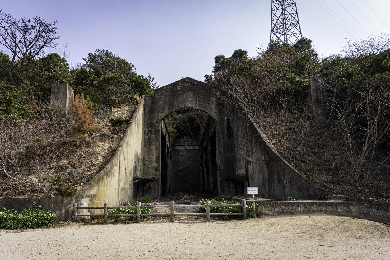 Wartime child worker reveals dark secrets of Japan's 'Rabbit Island'