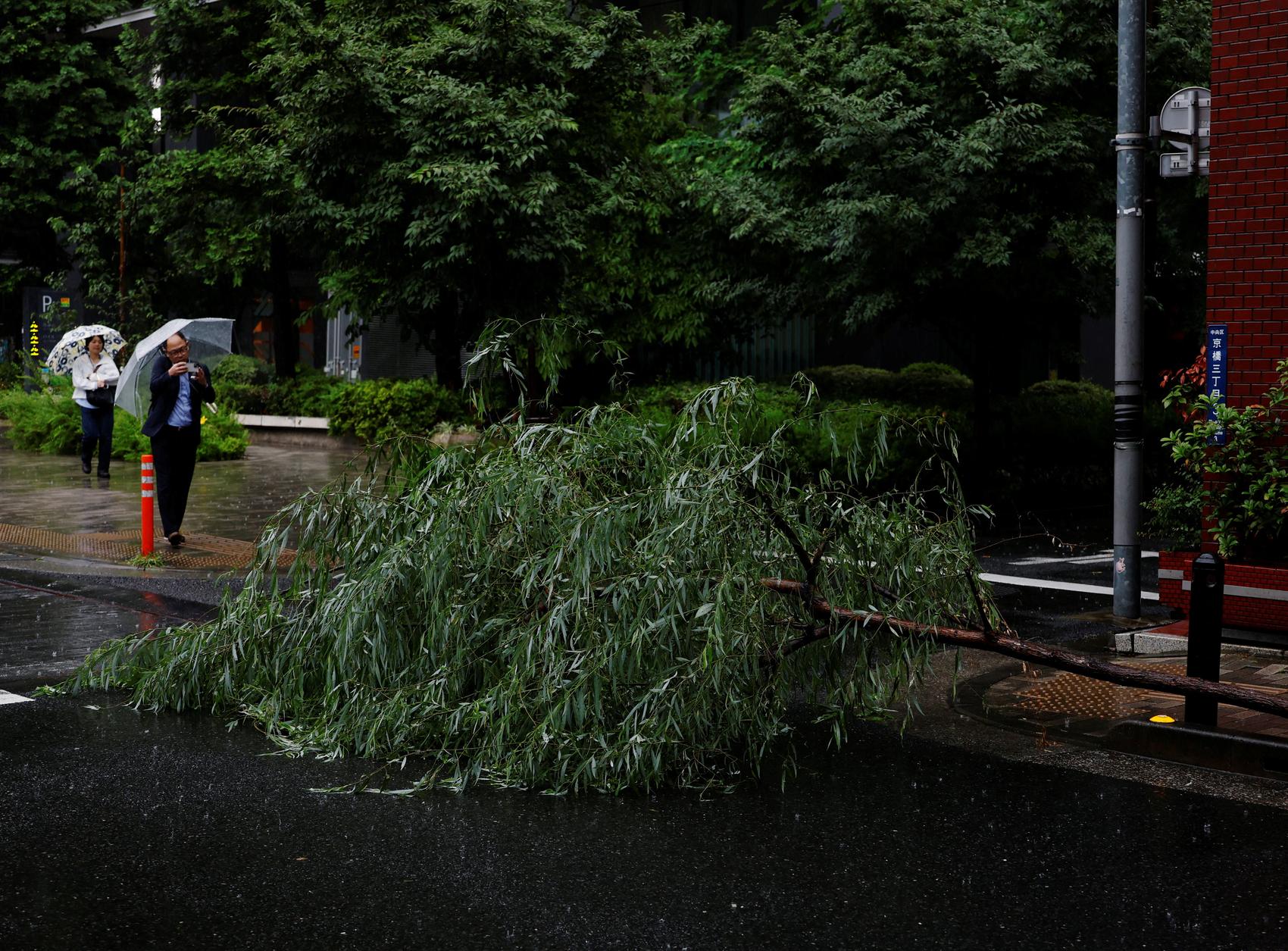 Typhoon batters Japan, cuts power to 60,000 homes