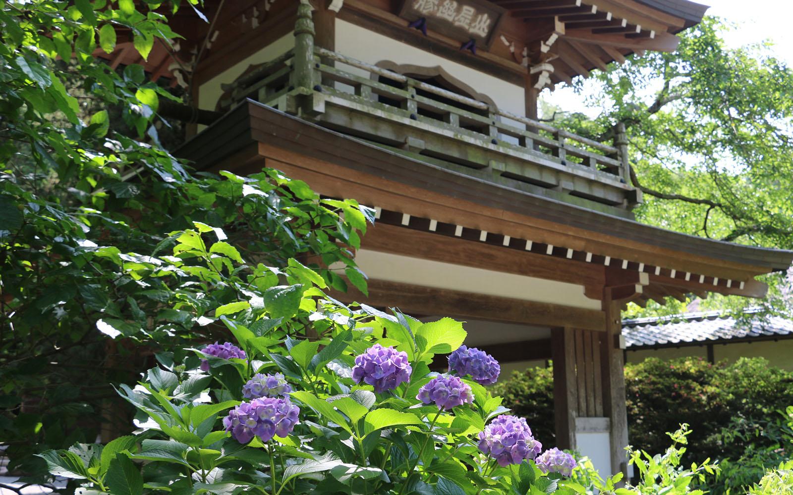 Engaku-ji Temple: A serene Zen meditation spot in Kamakura, rich in history