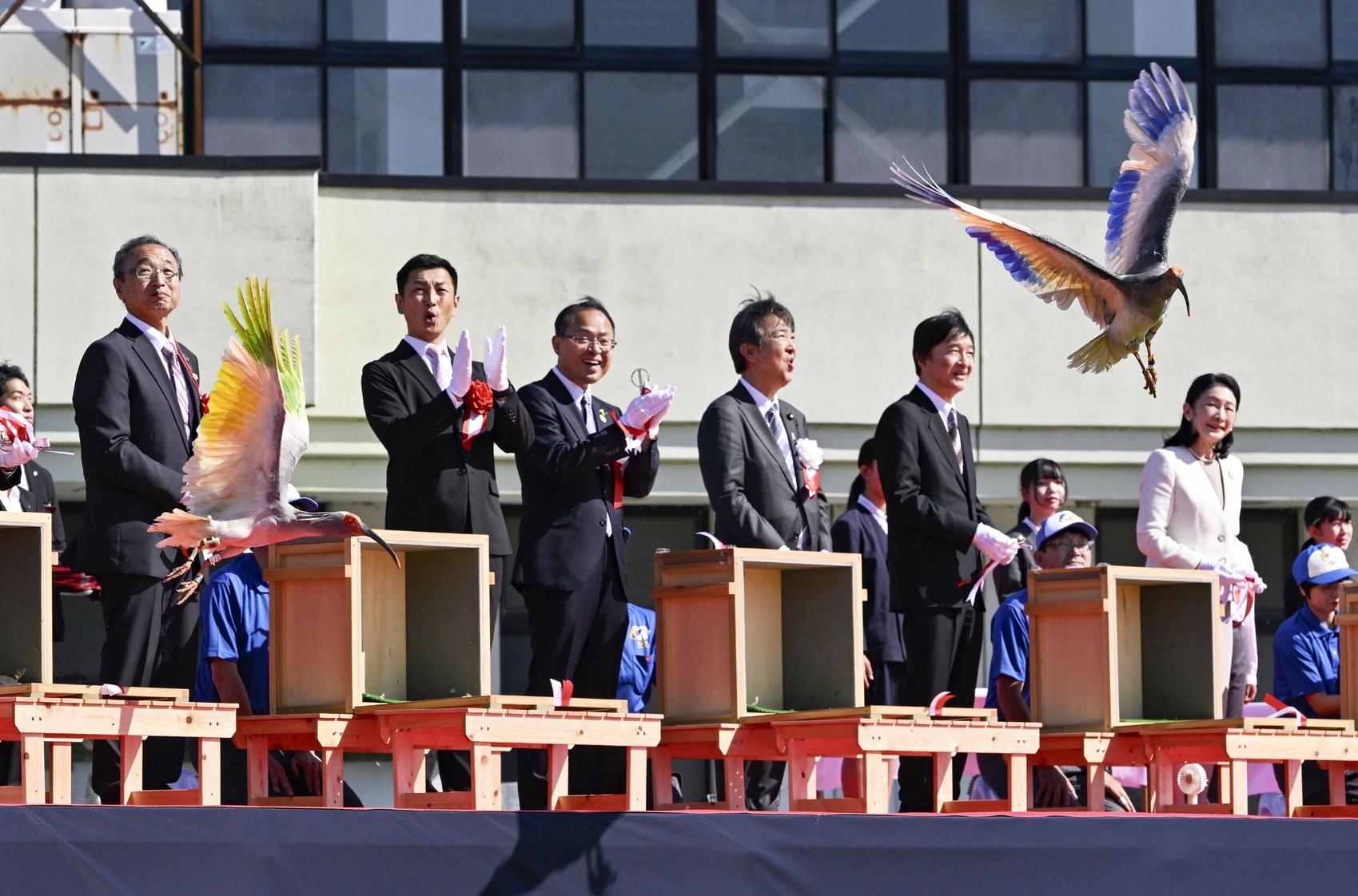 Japan's main island gets 1st crested ibises in wild; 1st time in 56 years